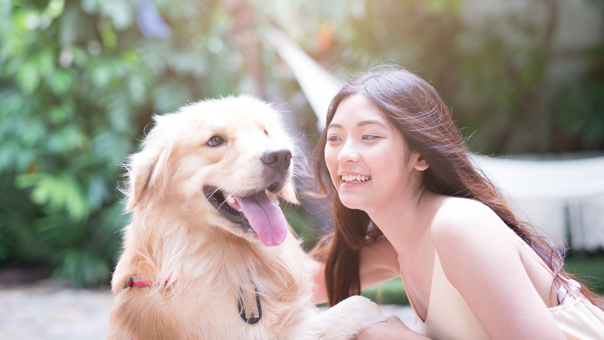 Daily Care for Your Pet: Small Routines, Big Impact