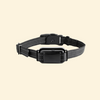 Training Collar