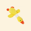 Chew Toys