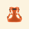 Pet Harness