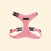 Dog Harness