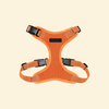 Dog Harness