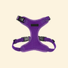 Dog Harness