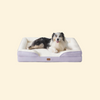 Pet Cushion