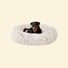 Canine Cot