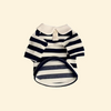 Dog Clothes