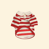 Dog Clothes