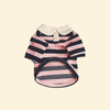 Dog Clothes