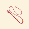 Standard Leash
